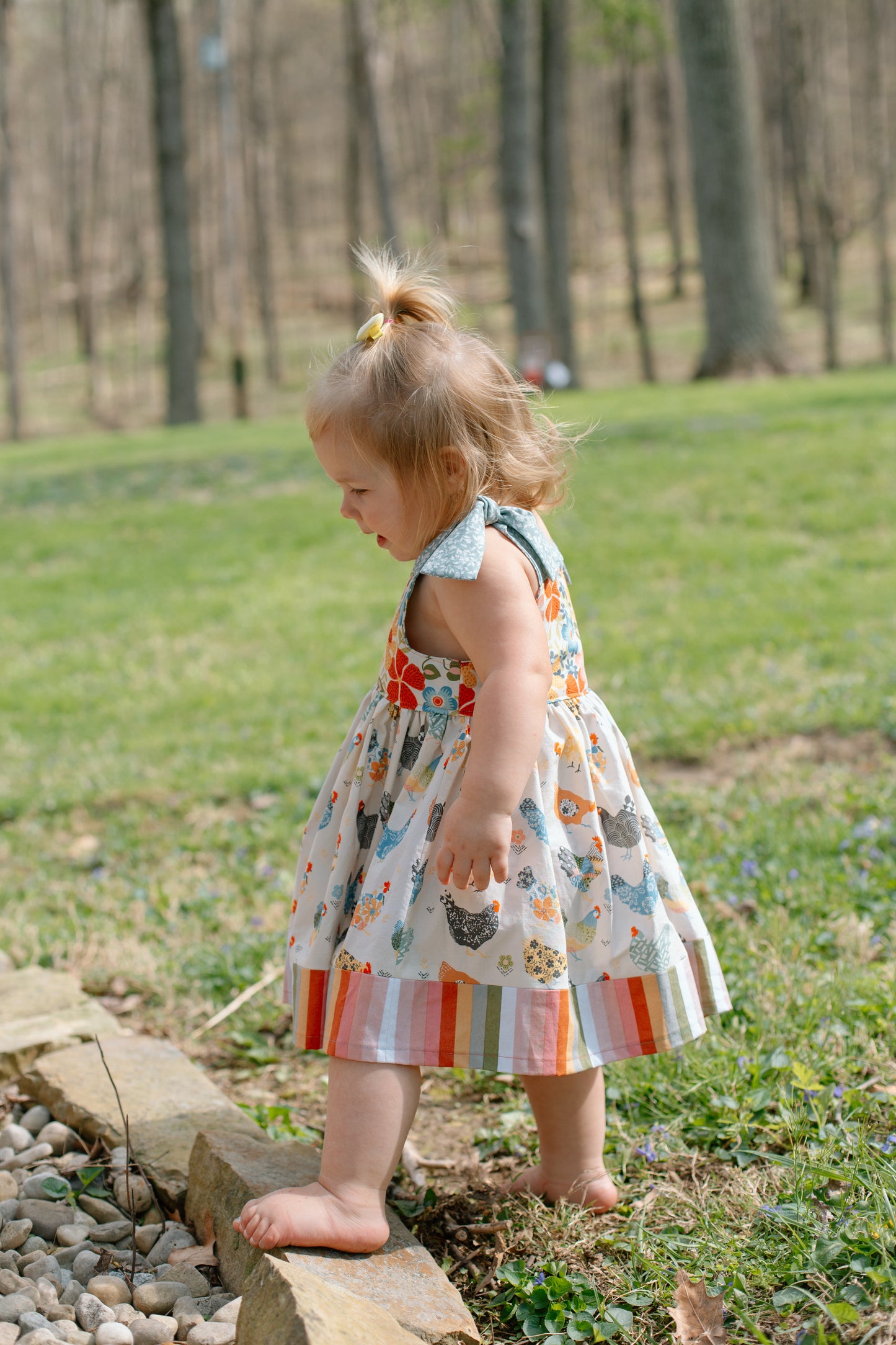 The Iline - The Free Bird